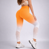Gradient Seamless Sport Legging
