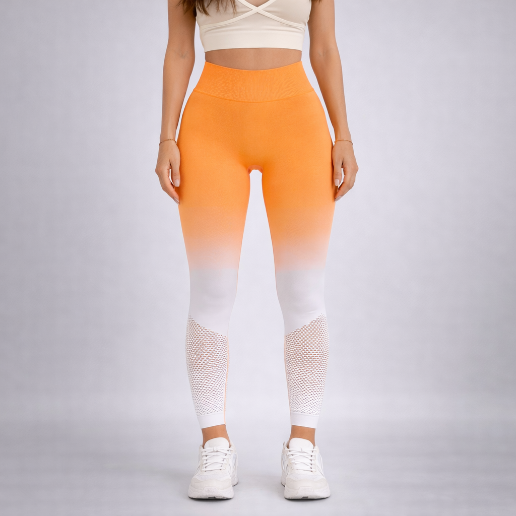 Gradient Seamless Sport Legging