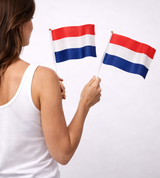 Nederlandse Handvlaggetjes